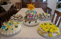 /album/galleria-fotografica/a2015-07-19-12-55-11-4-jpg1/